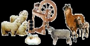 fiber arts studio