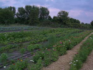 Earth & Skye Farm
