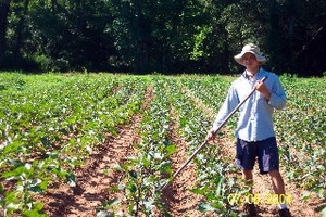 Snow Creek Family Organics