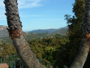 The Circle T Ranch