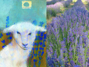 Apifera Farm