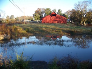 Rabbit Foot Farm