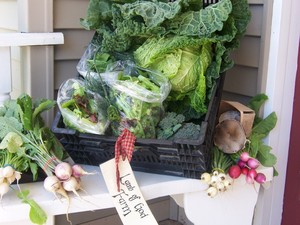 Big Rock Organics