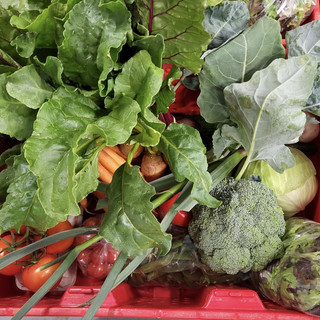 Sunshine Market Garden Ltd.