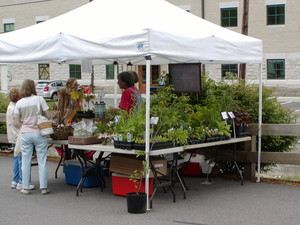 Wayne County Farmers Market