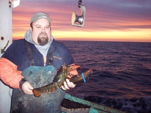 Grand Manan Lobster