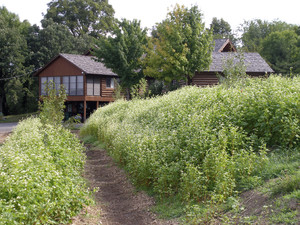 SouthWoods Forest Gardens