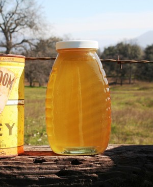 Blossom Trail Honey