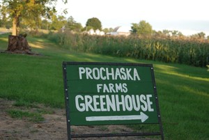 Prochaska Farms