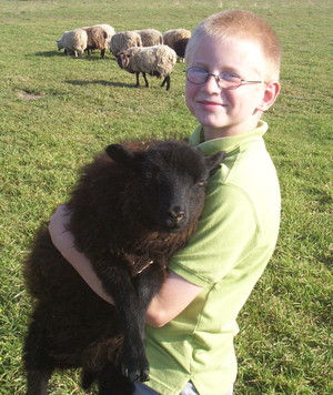 Willow Ridge Farms