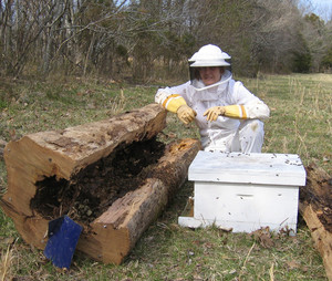 Persimmon Ridge Honey and Goat Farm