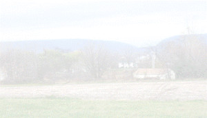 Gap View Farms