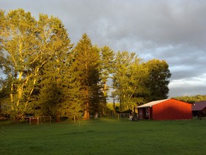 Our Tiny Farm
