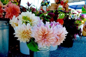 Jackson County Farmers Market