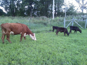 East Riverside Farm