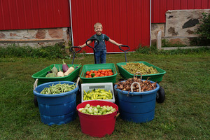 Sunny Cone Family Farm LLC
