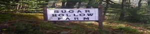 Sugar Hollow Farm