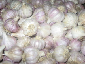 Keene Organics Garlic