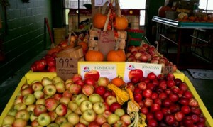 Falsetta Family Farm Mkt LLC