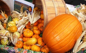 Moraga Farmers' Market