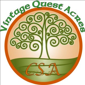 Vintage Quest Acres