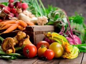 Taylor Family Organics