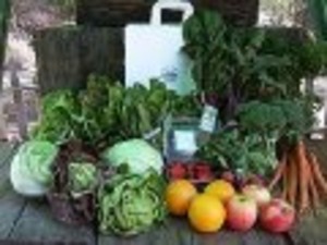 Thornbury Farm CSA