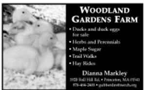 Woodland Gardens Farm