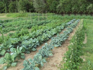 Portage River Farm