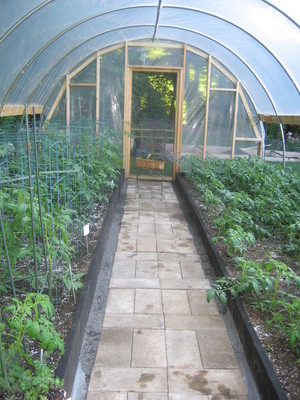 Thompson Street Farm