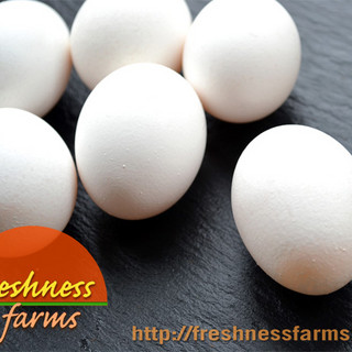 Freshness Farms
