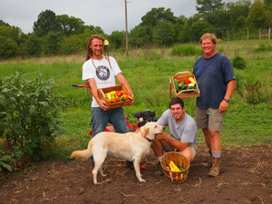 Real Food Farms