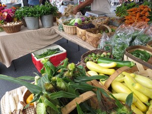 Long Valley Eco-Biotic Farm