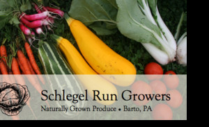 Schlegel Run Growers