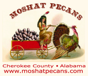 Moshat Pecans