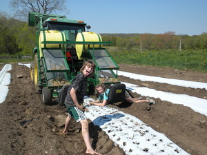 West Green Farm