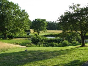 Merry Go Round Farm