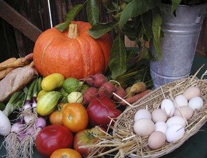 AgriCultured CSA