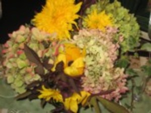Collie Flower Farm