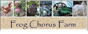 Frog Chorus Farm
