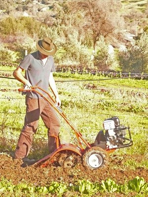 BeeGreen Farm