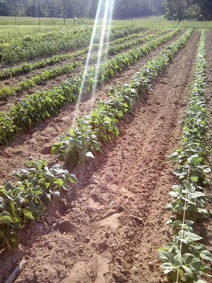 Apalachee River Farms