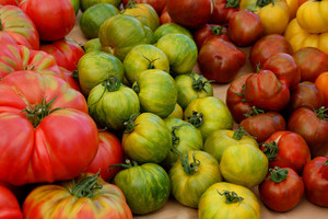 Blue Moon Heirlooms