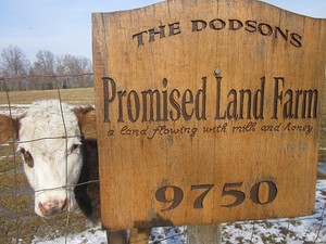 The Kombucha Lady at Dodson's Promised Land Farm