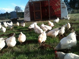 Denwally Farm