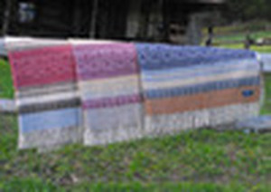 Alpine Brook Alpaca Farm