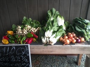 Circle Acres Farm