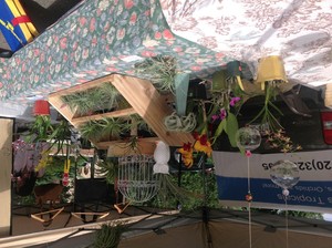 Plant art, orchids and airplants