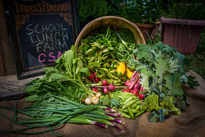 School Lunch Organic Farm & CSA