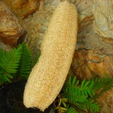 Back2thebeginning Farm